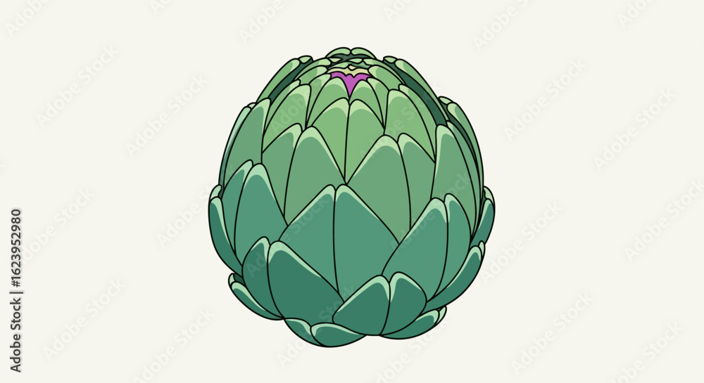 Fototapeta premium Stylized Green Artichoke Illustration on White Background