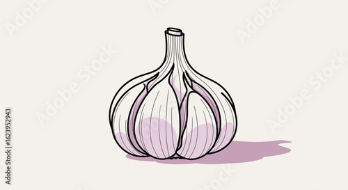 Fresh Garlic Head Illustration with Subtle Shadow on Light Background