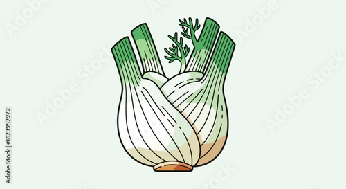 Fresh Fennel Bulbs Vector Illustration on Light Green Background