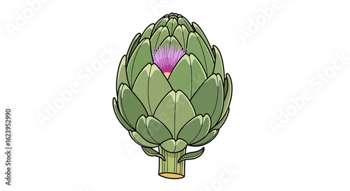 Green Artichoke with Purple Flower Bloom Vector Illustration