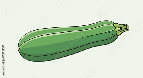 Single green zucchini vegetable isolated on a light background illustration