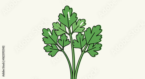 Fresh Parsley Leaves Graphic Illustration for Culinary and Recipe Designs