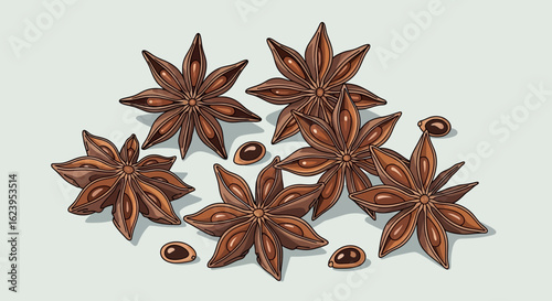 Star Anise Spice Pods and Seeds Illustration