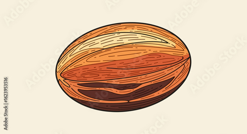 Nutmeg Seed Illustration. Whole Aromatic Spice for Culinary Use. Hand-Drawn Style.