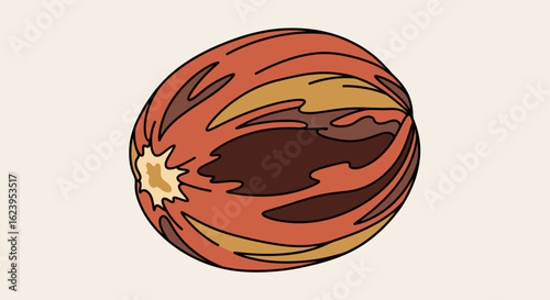 Nutmeg Spice Illustration. Isolated Whole Nutmeg Seed with Warm Brown and Orange Tones. Culinary Ingredient Graphic Element.
