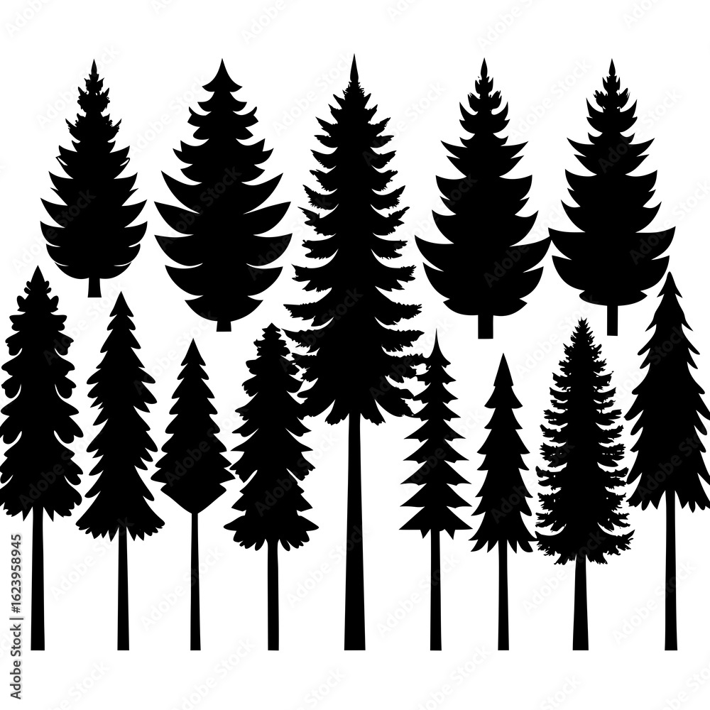 Fototapeta premium Collection of various evergreen tree silhouettes in a forest landscape silhouette