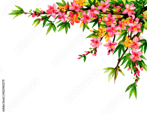 Sakura vines in watercolor style PNG
