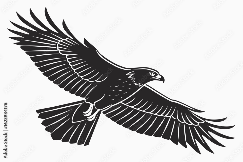 Fototapeta premium Hawk bird sihouette black vector