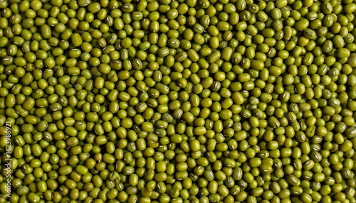 Close-up of many green mung beans