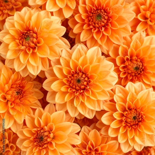 Close-up of many vibrant orange flowers