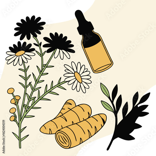 Botanical Wellness: A beautifully illustrated arrangement of chamomile flowers, essential oil, and turmeric roots, showcasing the natural elements of wellness and organic ingredients.