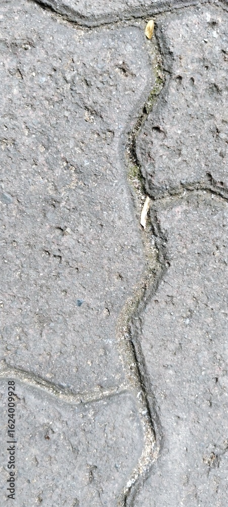 Fototapeta premium close up of the ground