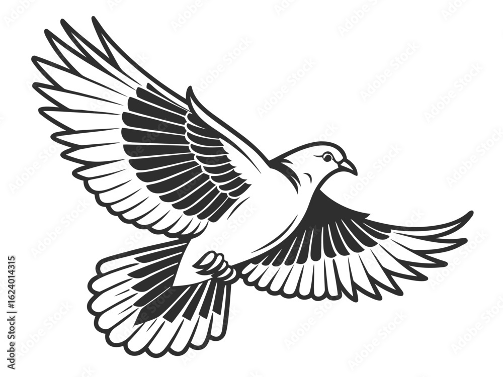 Fototapeta premium dove on white