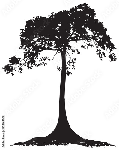 Kapok tree silhouette drawing