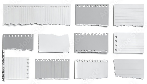 Collection of ripped and torn pieces of lined and unlined paper