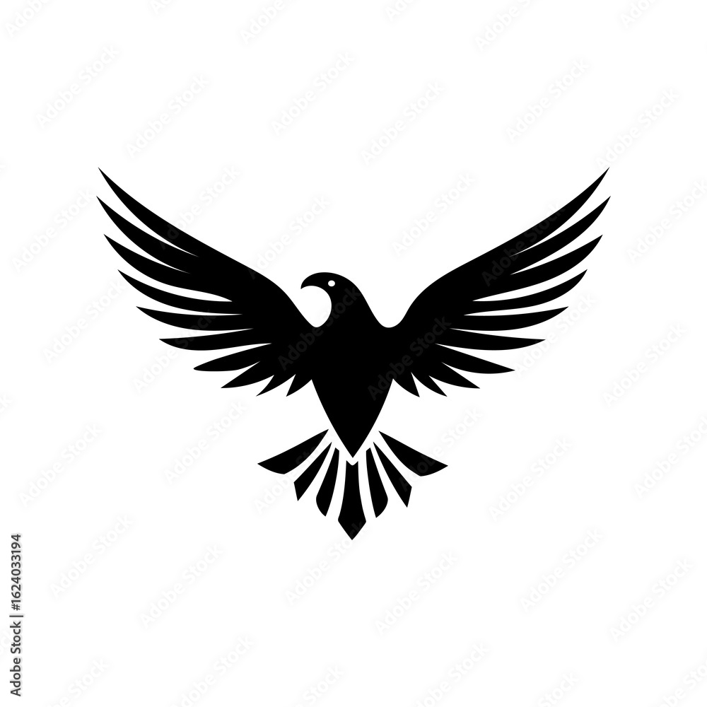 Obraz premium eagle with wings