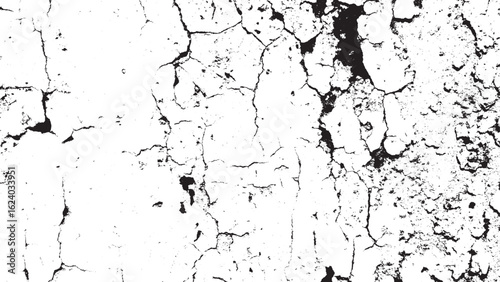 Black and White Grunge Cracks Overlay Texture