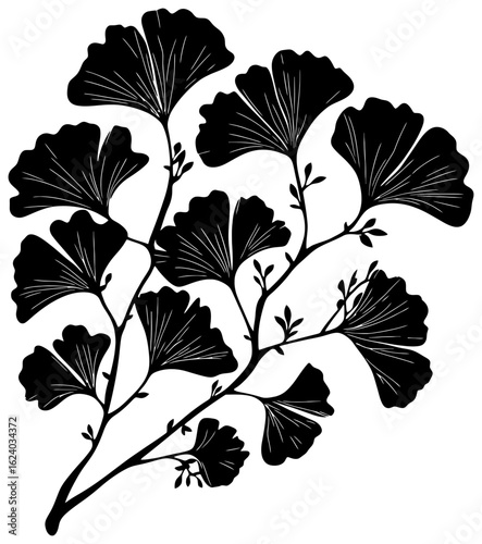 Silhouette of ginkgo bilabo tree element