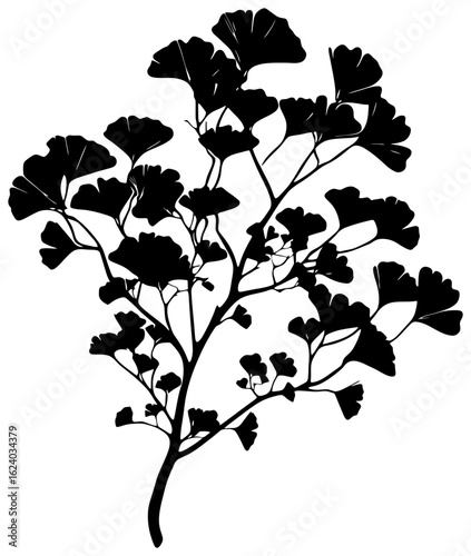 Silhouette of ginkgo bilabo tree element