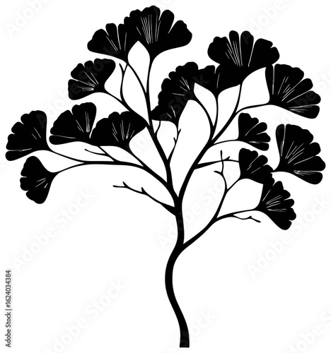 Gingkgo bilabo tree silhouette drawing