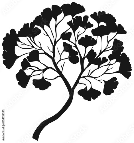 Gingkgo bilabo tree silhouette drawing