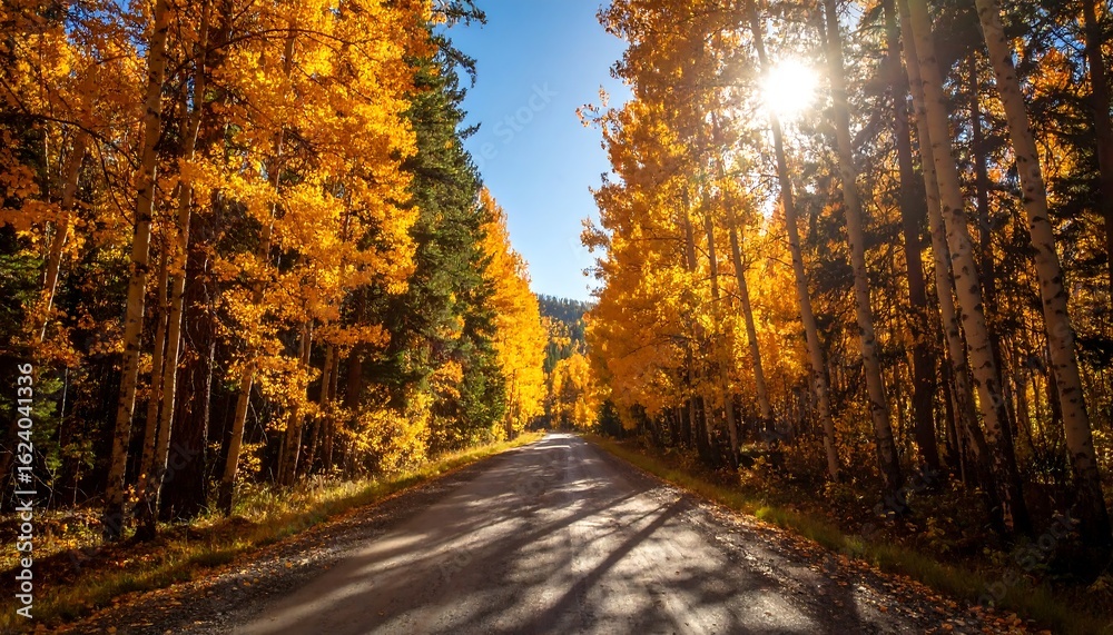 Obraz premium Autumnal roadway through a vibrant forest