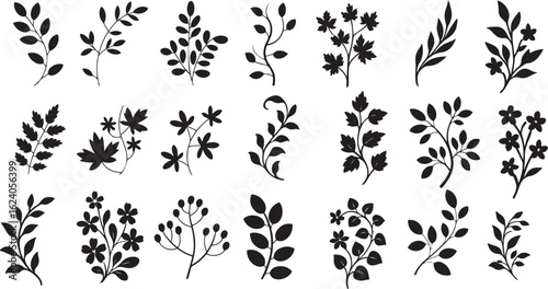 Curly Branch Silhouettes with Leaves – Vector Illustration Isolated on White Background