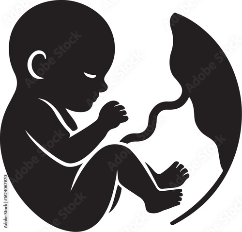 Fetus Vector Icon – Prenatal Human Child with Placenta Silhouette Isolated on White Background