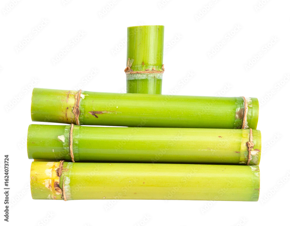 Fototapeta premium bamboo isolated on white background