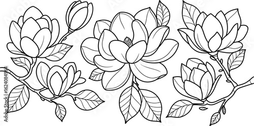 Tropical plumeria flower and leaf clipart set, botanical watercolor illustrations with yellow frangipani blooms and lush greenery.