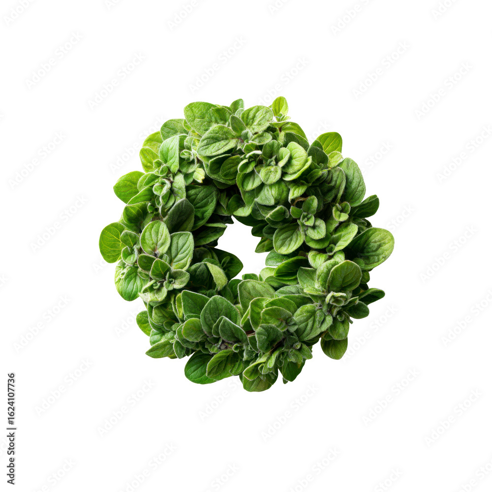 Fototapeta premium Fresh Oregano Wreath Aromatic Herb Circle
