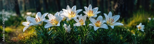 Lily gardenia by flower crown concept. Delicate white lilies blooming in a serene forest setting.