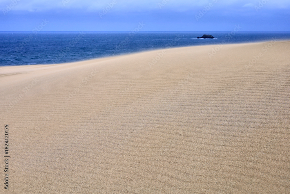 Fototapeta premium 風紋の鳥取砂丘