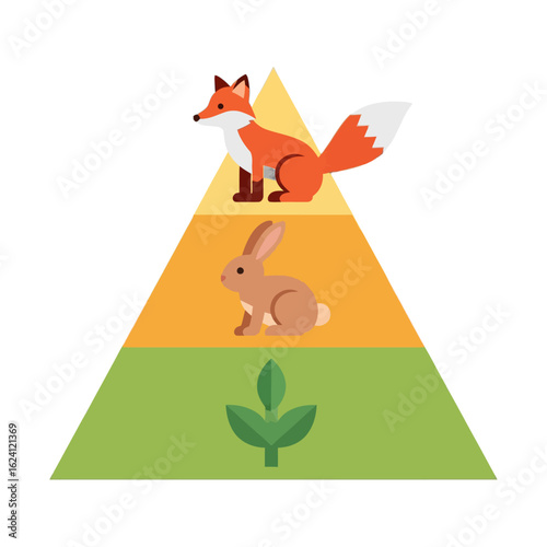 Food chain illustrated as a pyramid showing a fox, rabbit, and plant.