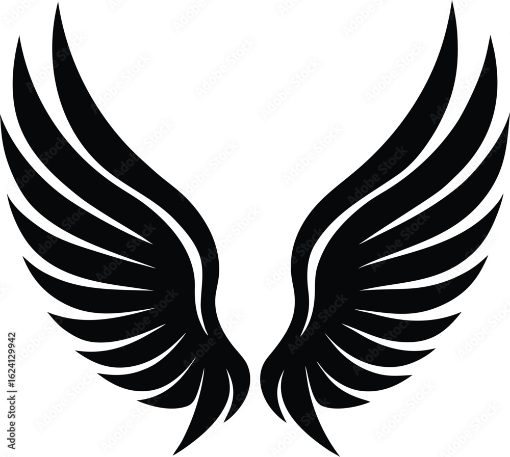 Obraz premium Wings Silhouette