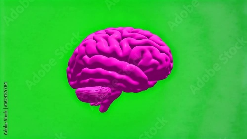 A three-dimensional rendering of a human brain, depicted in a bright magenta or pink color. The brain is shown from a side and slightly tilted perspective, highlighting the detailed folds.