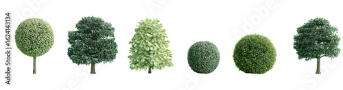 Several stylized treetops in various shapes