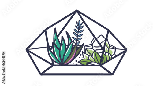 Geometric terrarium with succulent plants vector illustration for home decor and botanical design ideas