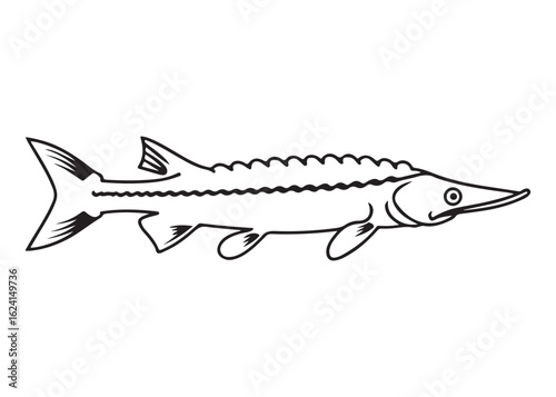 Black Sturgeon Silhouette with Barbels and Spiny Dorsal Fins in Side View.