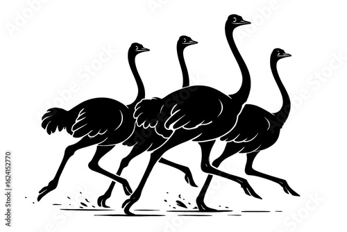 Ostrich Group Running Silhouette Vector - Fast Wildlife and Birds