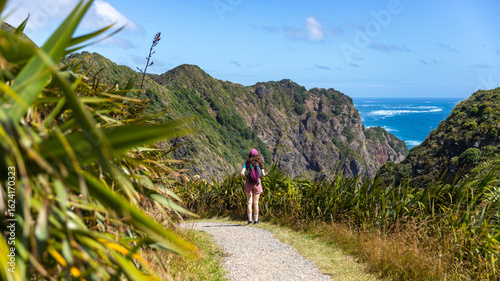 Girl enjoy hiking lush coastal Mercer Bay Loop Track, with spectacular cliffs plunging into the Pacific Ocean, near Piha Beach, Waitākere Ranges, west coast, North Island, New Zealand