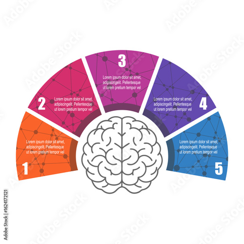Model of brain with five features or option of project to select. Minimal infographic illustration for medical applications, education and science information visualization.