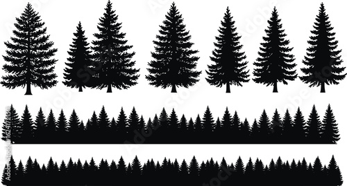 Silhouette of pine trees, evergreen forest landscape, nature scene at dusk, black and white tree line, minimalist woodland vector