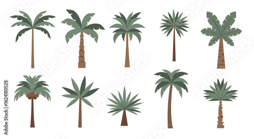 Collection of various stylized palm trees evoking tropical island paradise vibes with lush green foliage and tall woody trunks
