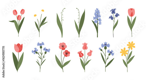 A charming collection of delicate spring blossoms with vibrant colors and graceful stems perfect for floral designs