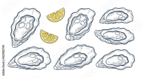 Discover the rich and briny flavors of freshly shucked oysters with zesty lemon wedges a culinary delight