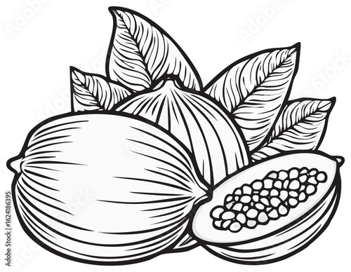 Stylized Tropical Fruits with Leaves Illustration Freshness