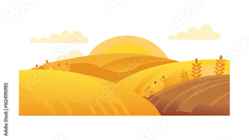 Golden wheat field landscape illustration vector for harvest season agriculture background design concept