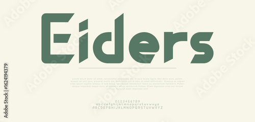Eiders Elegant awesome alphabet letters font and number. unique serif font. Classic Lettering Minimal Fashion Designs. Typography fonts regular uppercase and lowercase. vector illustration