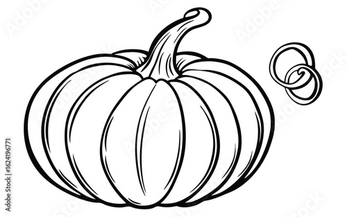 Pumpkin with swirling vine squash gourd